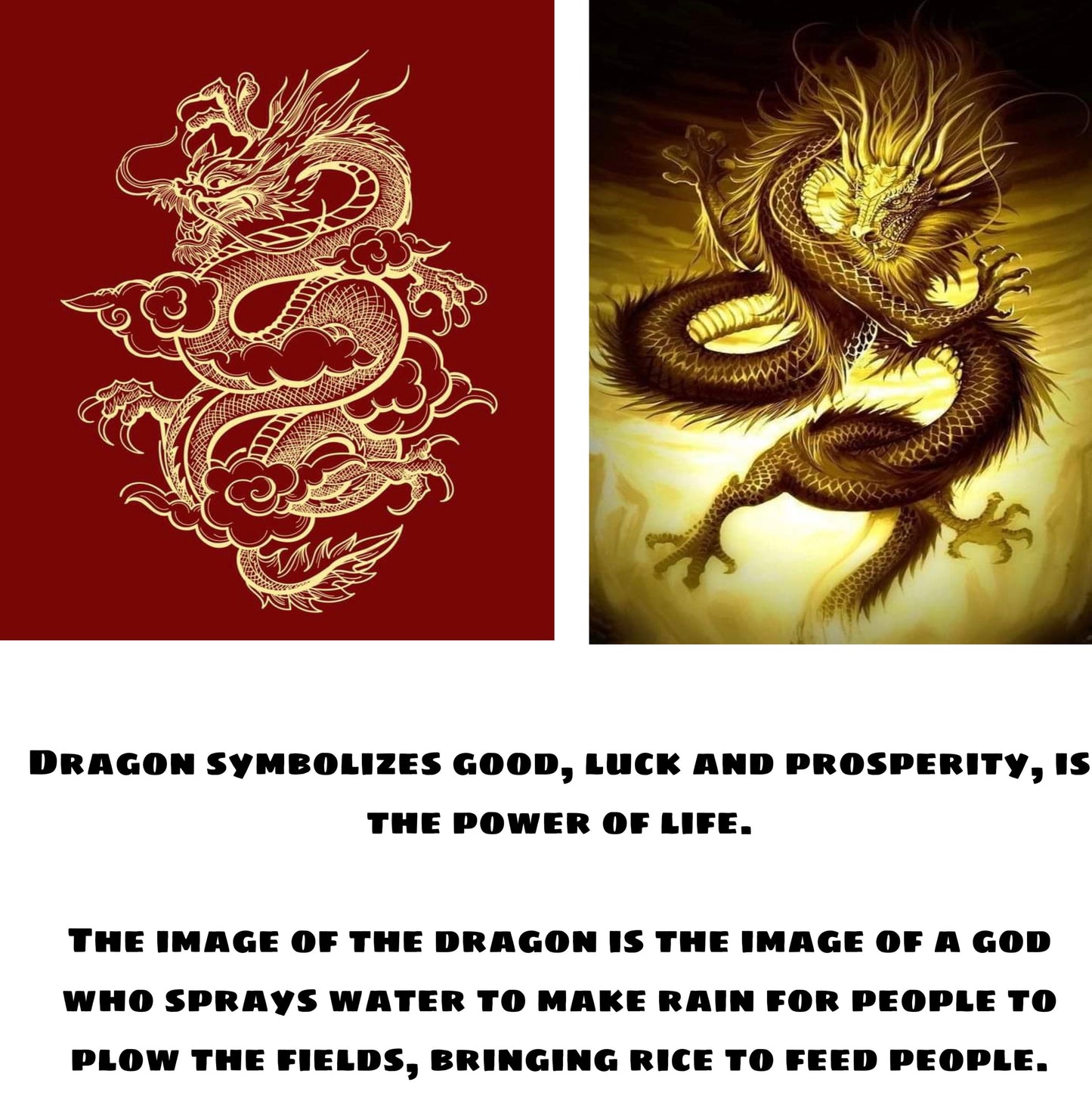 Burma Jadeite Dragon Pendant #P125